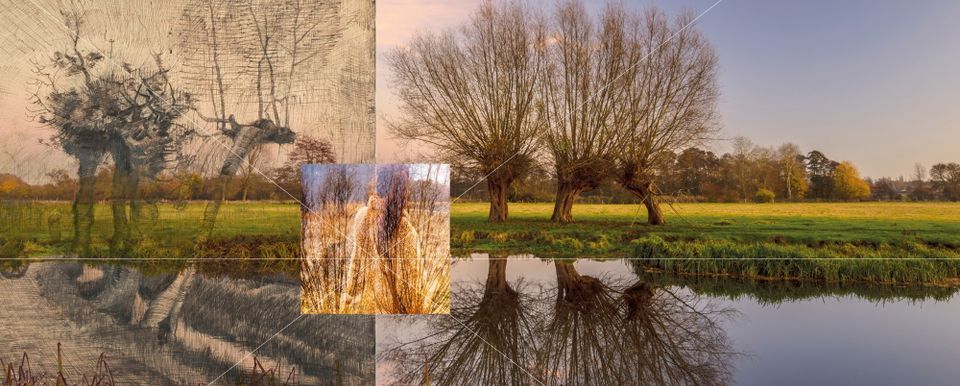 Van Gogh Nationaal Park in Noord-Brabant, een uniek landschap geïnspireerd door de werken en wandelingen van Vincent van Gogh, met aandacht voor natuurbehoud, duurzaamheid en cultuurhistorie