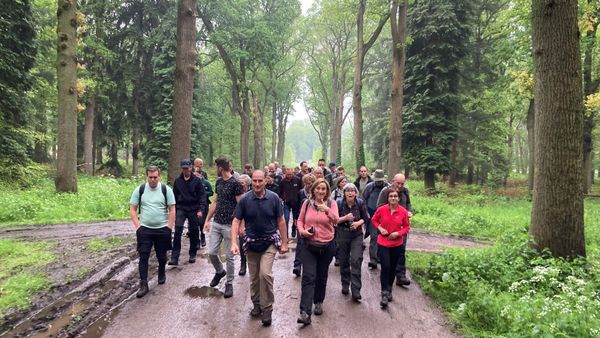 groep dauwtrappende wandelaars