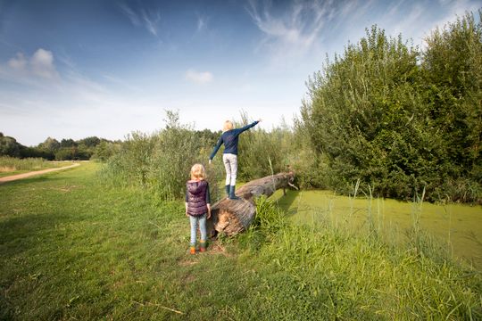 belevenissenbos lelystad ClaireDroppert