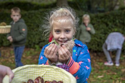 Kinderen zoeken en verzamelen kastanjes tijdens een natuuractiviteit op Landgoed Bredius in Woerden, Groene Hart. Meisje toont gevonden kastanjes in een groene omgeving met spelende kinderen tijdens een educatieve buitenactiviteit in de herfst.
