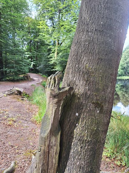 Beeldenroute Olterterp