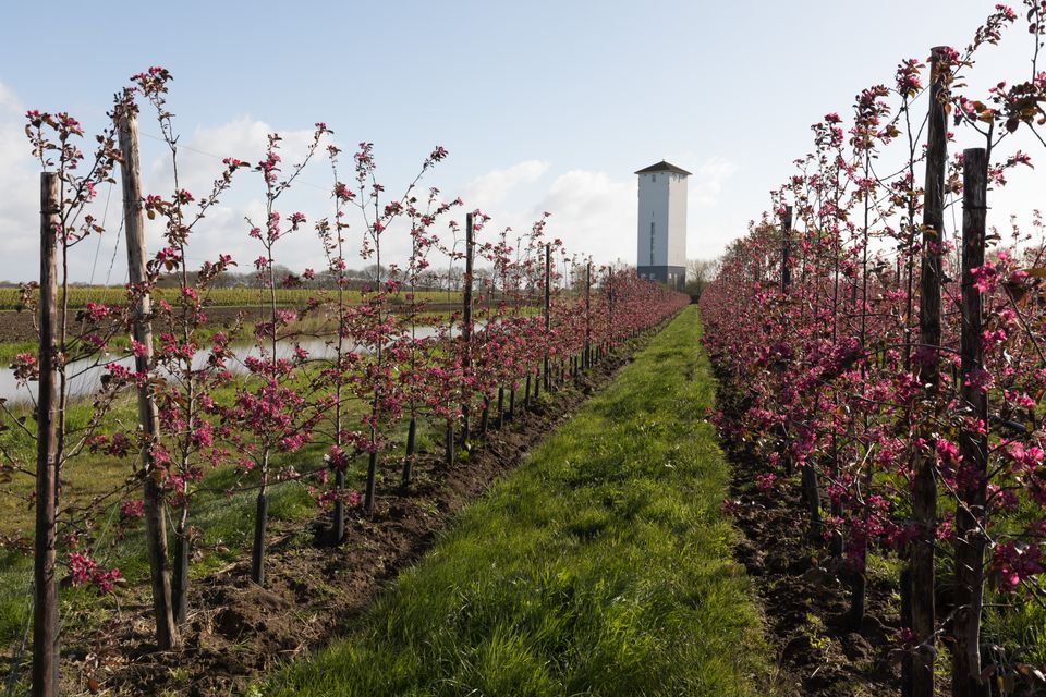 Watertoren Werkhoven