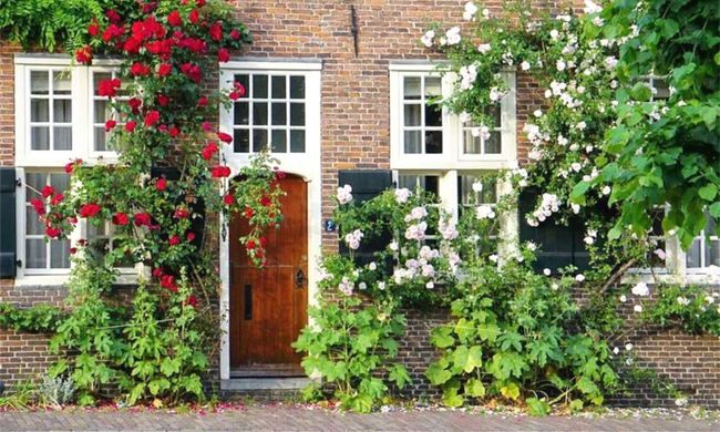 Geveltuintjes Amersfoort - headerfoto