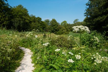 Wandelpad door natuurgebied Westerpark in Zoetermeer. Zoetermeer is de plek.
