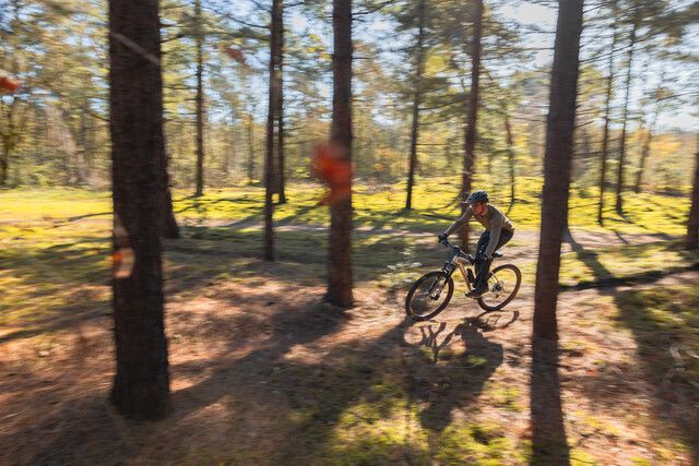1 mountainbiker op het parcours van Walsberg Deurne