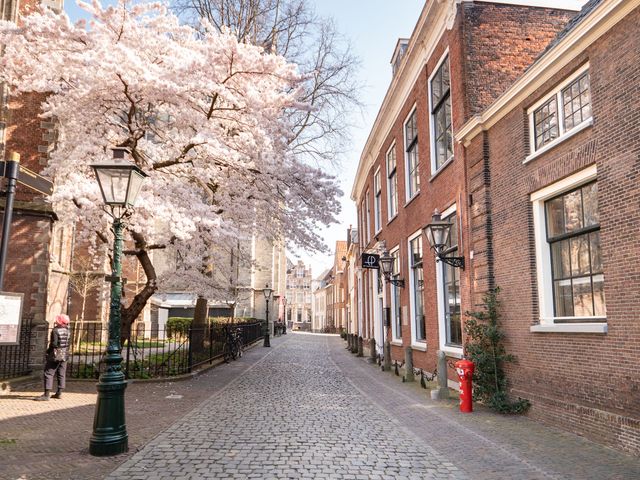 Pieterskwartier in de lente
