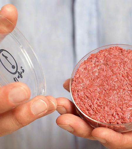 kweekvlees cultivated meat
