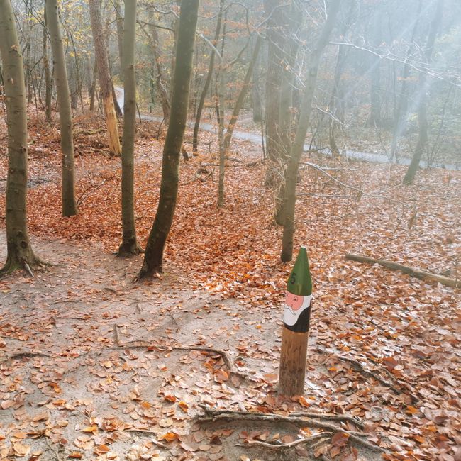 Kabouterpad met zonnestralen