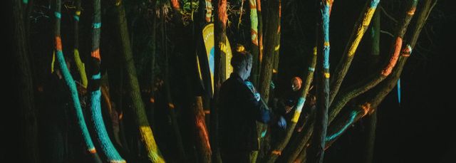 Strijklicht, een compositie van bomen