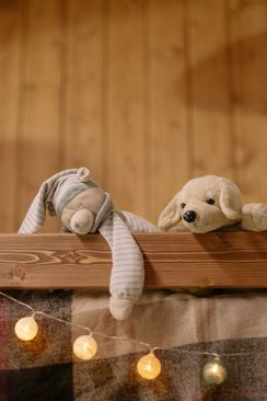 item-image