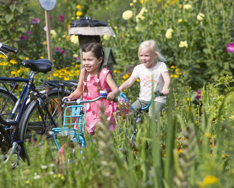 Fietsende kinderen op de Langhoornbijroute