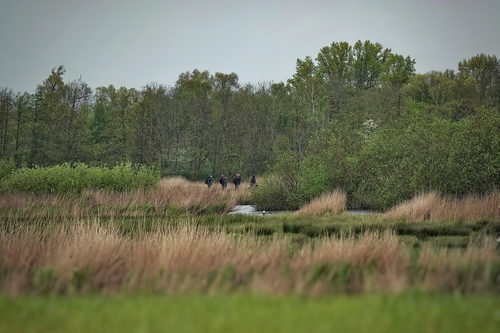 Mensen op vogelsafari in Het Twiske