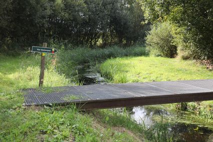 bruggetje over beekje met gras begroeide oevers