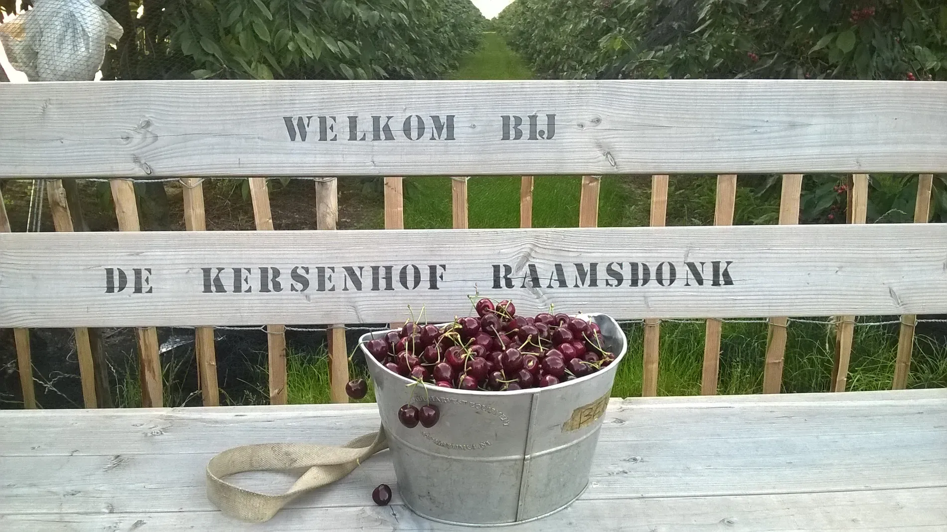 De Kersenhof