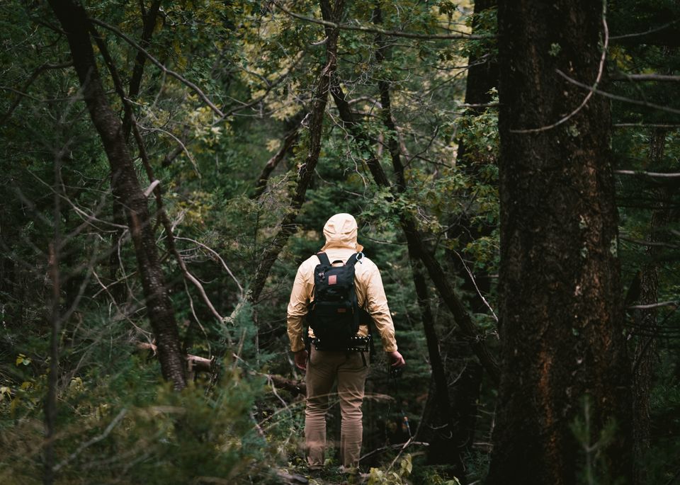 Ontdekken in de natuur expeditie