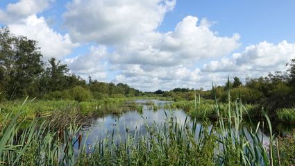 kanaal