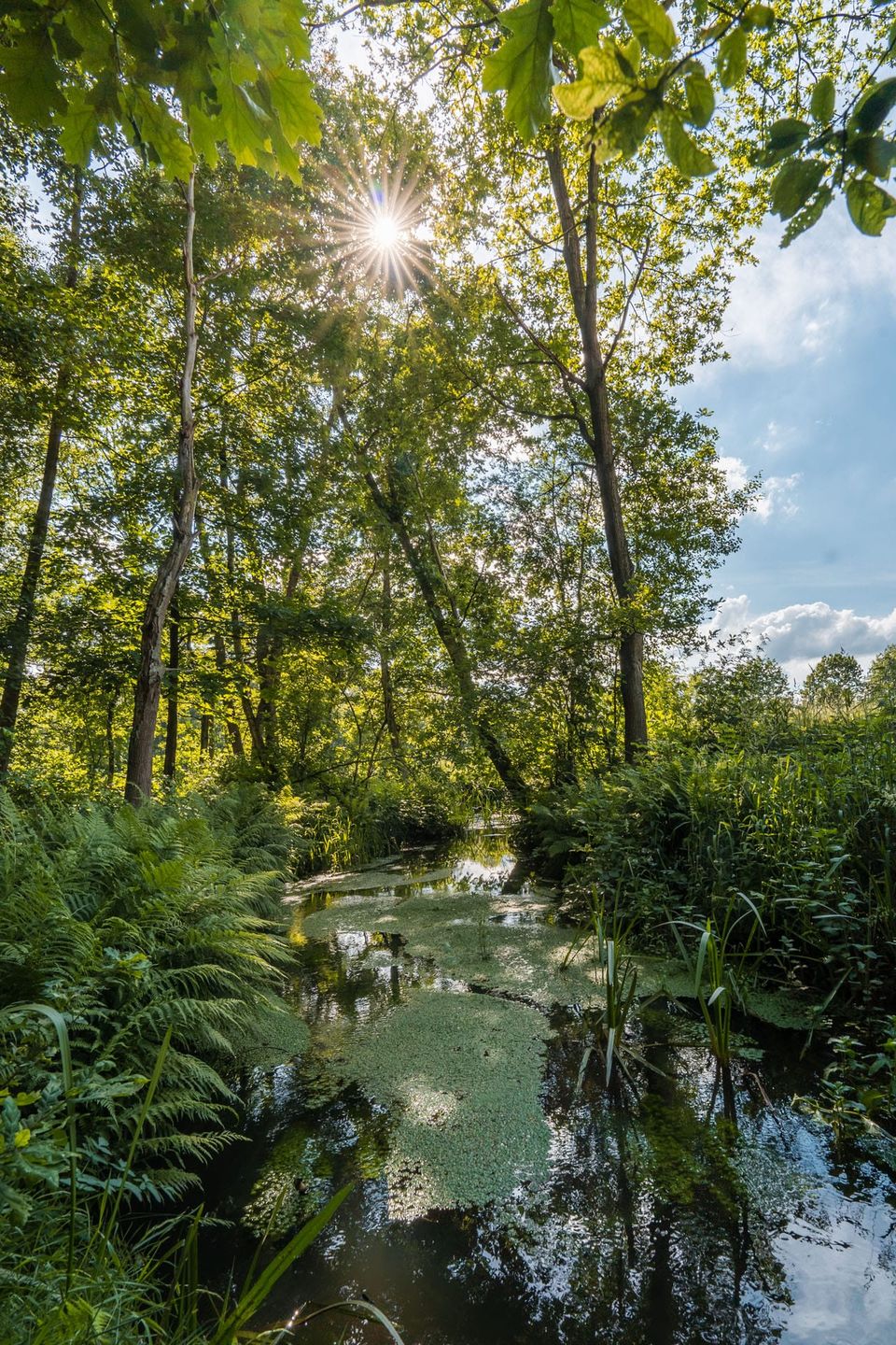 Warmbeekvallei
