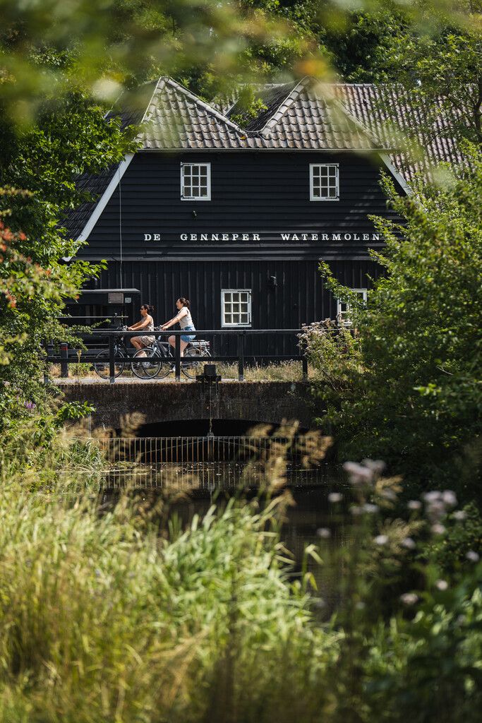 Genneper watermolen in Genneper Parkern