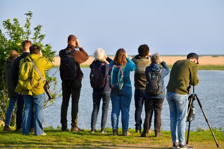 Fotosafari Wereld Trekvogeldag