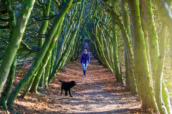 Wandelen bij Landgoed Mariëndaal