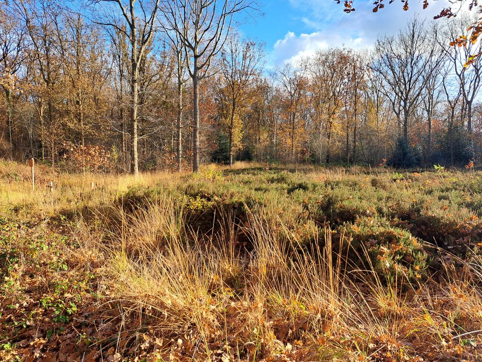 Doortraproute Oldeberkoop