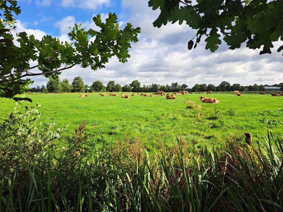 Bûten boartsje yn Fryslân