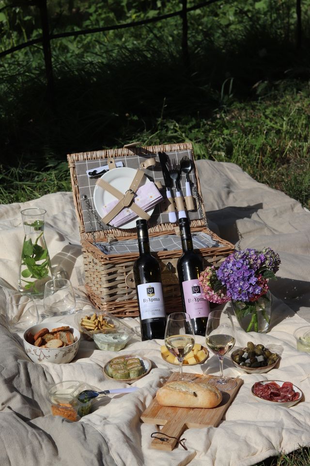 Picknicken bij Wijngaard By Ypma in De Rips