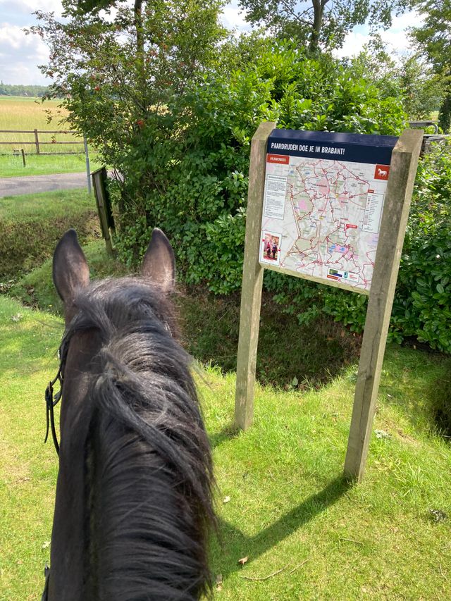 Ruiter op paard bij routebord.