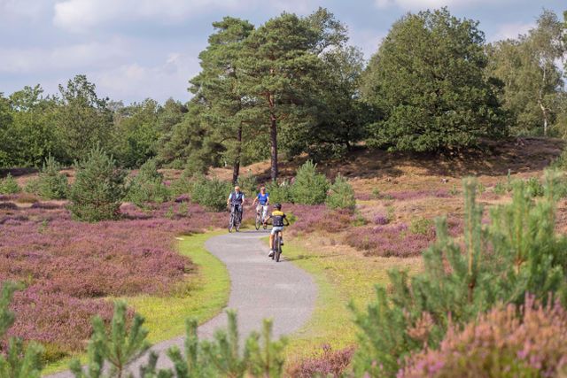 Fietsen drents-friese wold heide