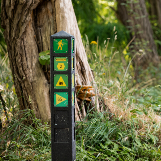 Simply follow the signs and walk along the route from one numbered junction to the next.