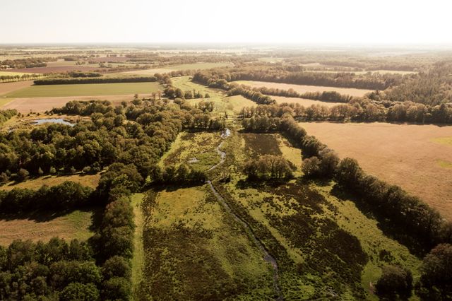 Luchtfoto van een natuurgebied waar een stroom doorheen loopt.