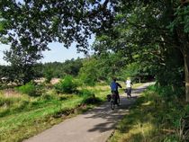 Fietsers in groene natuur