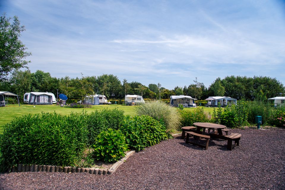 Een picknick tafel op het grind met daar omheen veel verschillende struiken en op de achtergrond caravans op het grasveld.