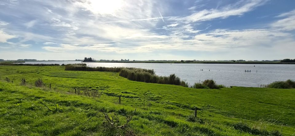 Langs de zuidoever van het Lauwersmeer