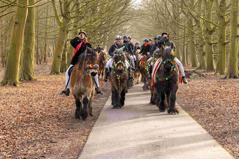 Op-Schouwen-Duiveland-Strao-Rieen-Renesse