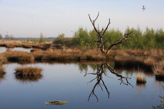 Wandelroute Koelevaartsveen