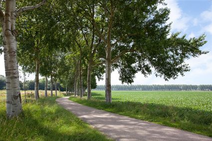 Onderdeel van Linie 1629