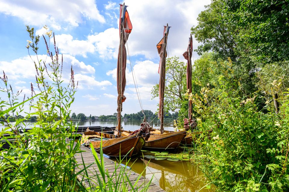 Reeuwijkse plassen bij Watersnip