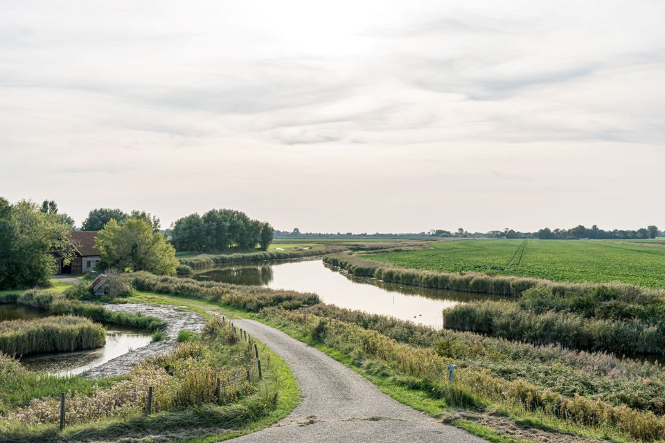 Naterkreek Zonnemaire