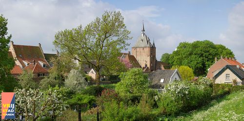 Zicht op Vianen
