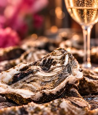 Proeverij Oesters