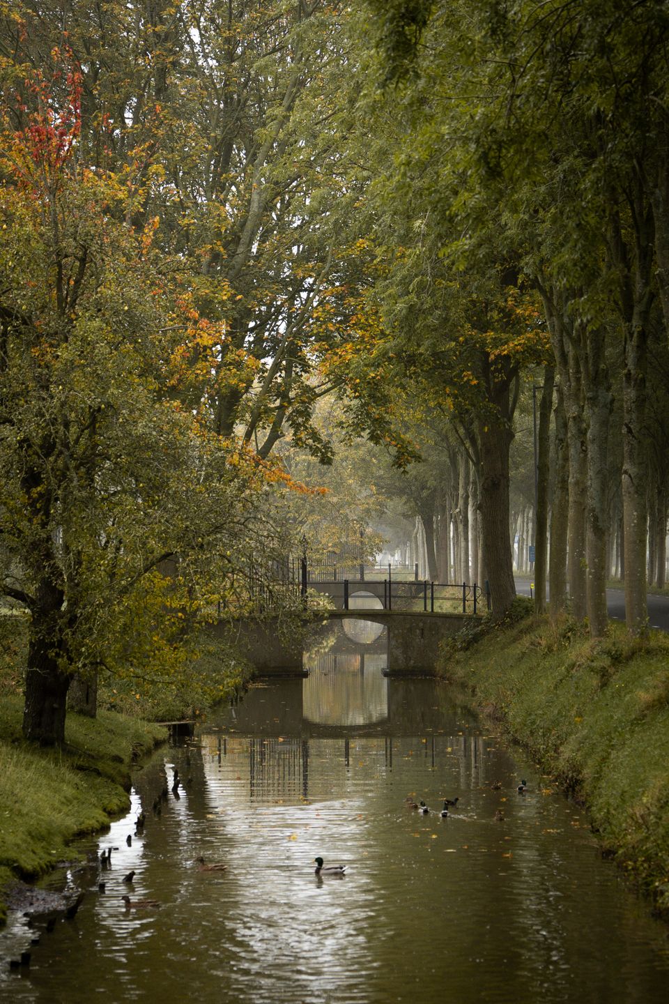 Herfst Purmerend