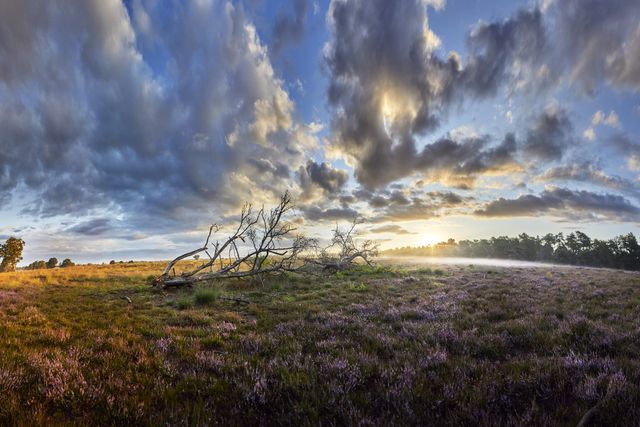 Mooie natuurf