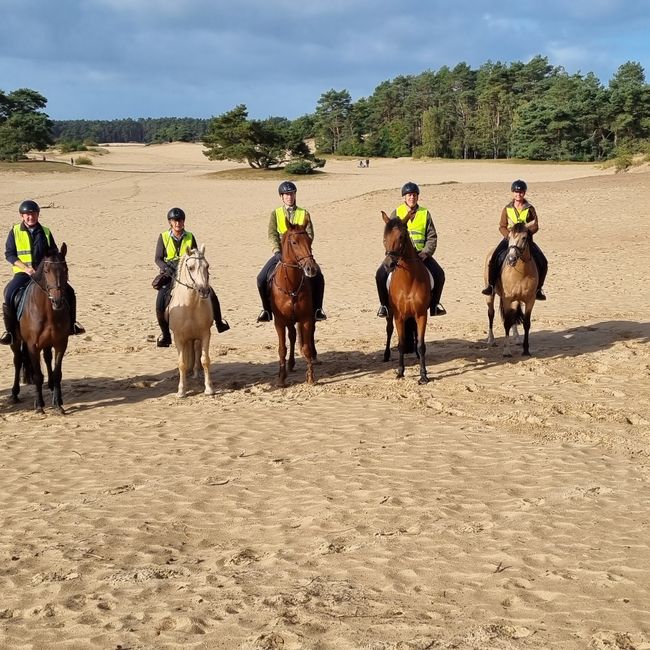 Paardrijden zandverstuiving manage Belvedere