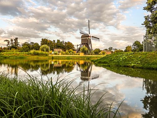 Zicht op molen ter Leede