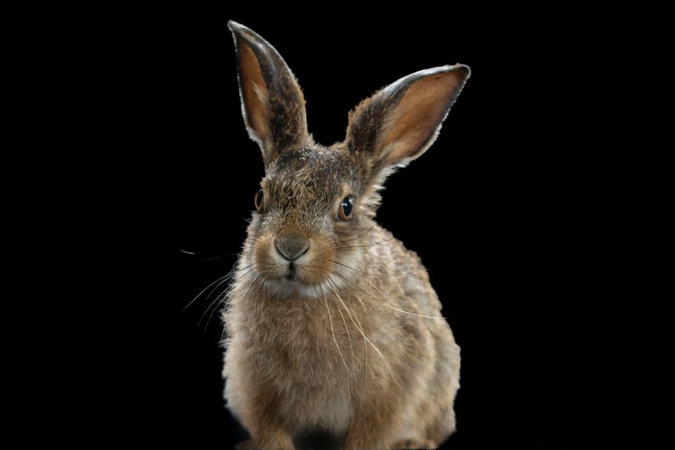 Grote natuurfoto expositie Kieknou