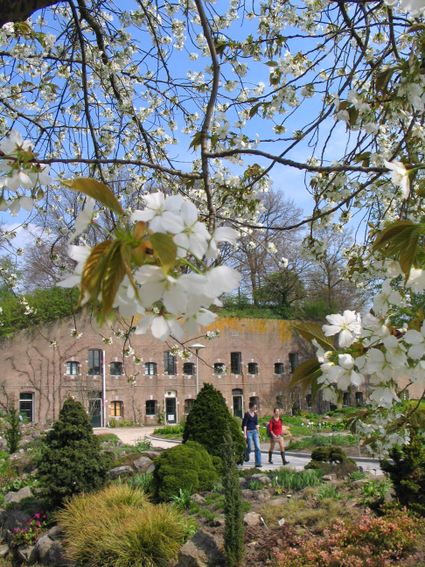 Dames wandelen in botanische tuinen Fort Hoofddijk