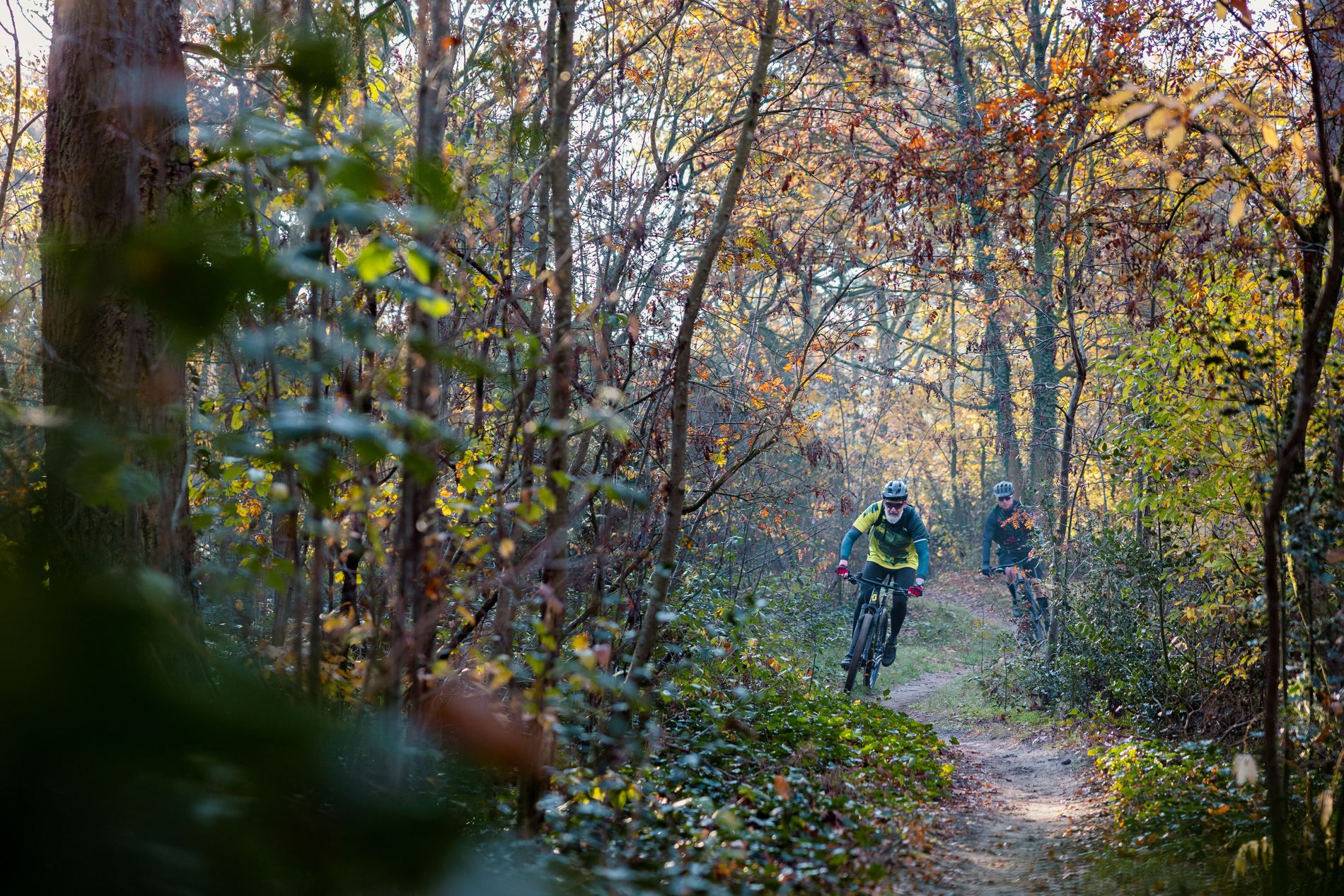 Mountainbikers op de mtb route in Waalre