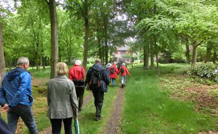 IVN/KNNV-wandeling | Wat de herfst ons brengt