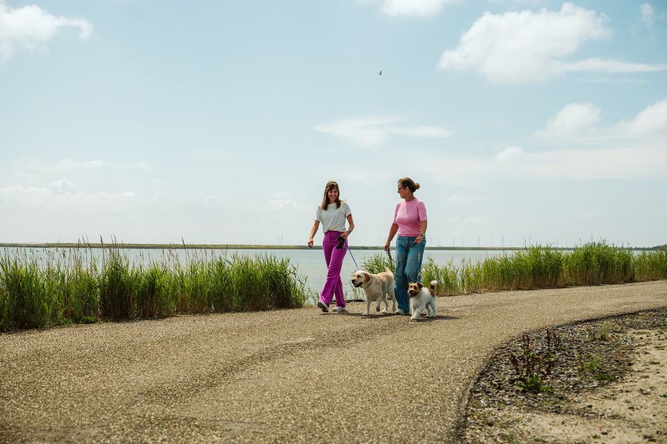 Op-Schouwen-Duiveland-Bringing your dog to Schouwen-Duiveland